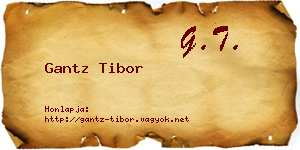Gantz Tibor névjegykártya